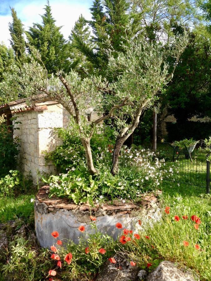 Bed & Breakfast Mas Cestayrols